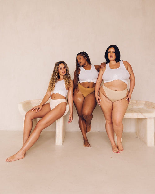 Lunelle high waist cotton Brief
